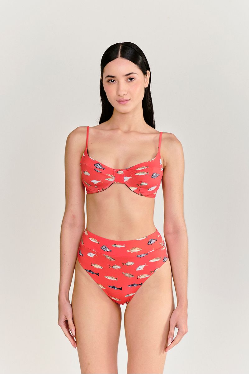 top-meia-taca-line-peixes-vermelho