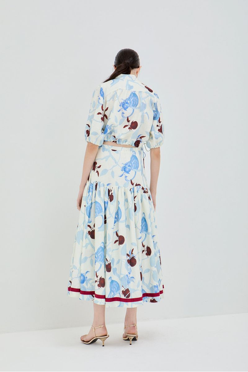 Saia-portal-macaco-corrido